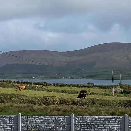 A New U Country Cottage B&B Valentia Island * Valentia-sziget